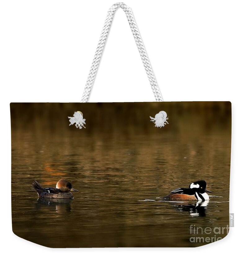 Wildlife Weekender Tote Bag featuring the photograph Hooded Mergansers by Sheila Ping
