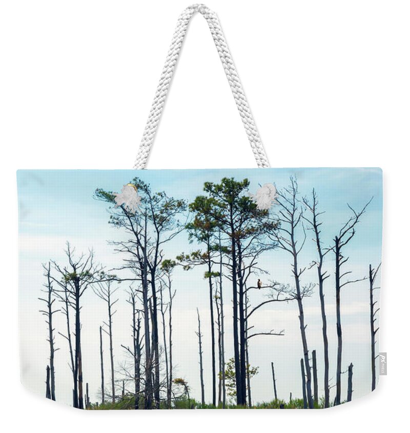 2d Weekender Tote Bag featuring the photograph Hooper's Island Landscape by Brian Wallace