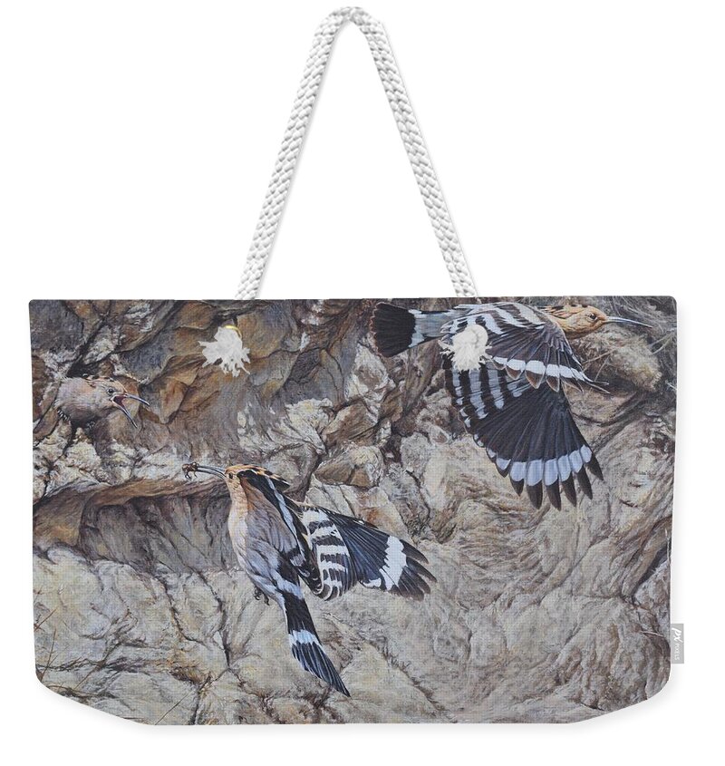 Wildlife Paintings Weekender Tote Bag featuring the painting Hoopoes Feeding by Alan M Hunt