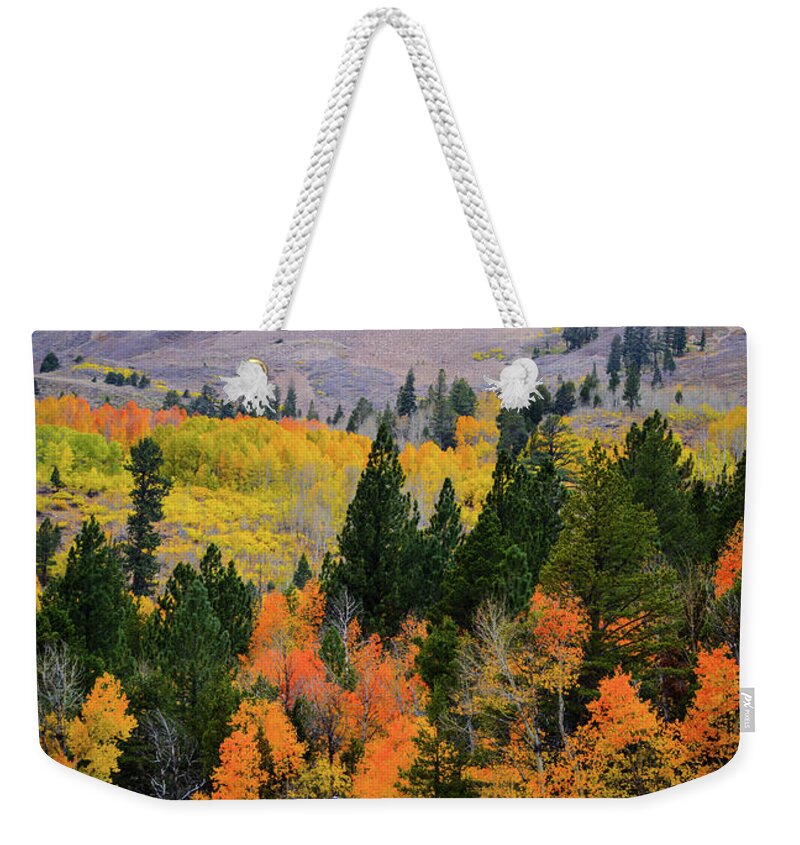 Hope Valley Weekender Tote Bag featuring the photograph Hope Valley Cabin by Steph Gabler