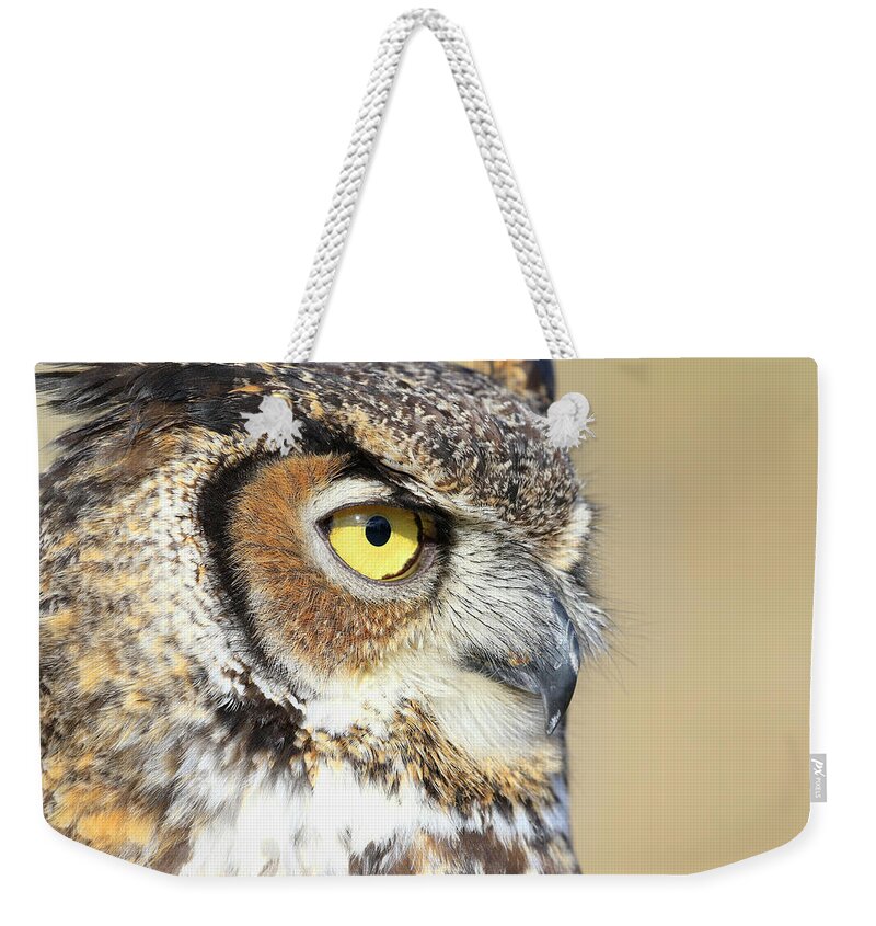 Horned Owl Weekender Tote Bag featuring the photograph Horned Owl Close Up by Steve McKinzie