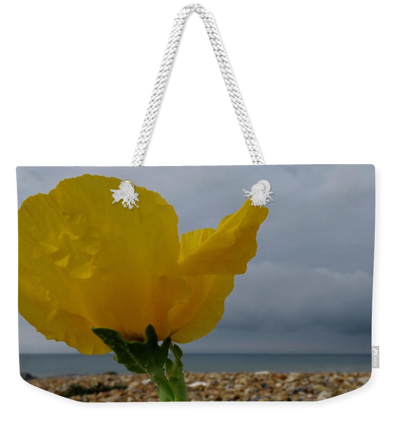 Horned Poppy Weekender Tote Bag featuring the photograph Horned Poppy By The Sea by John Topman