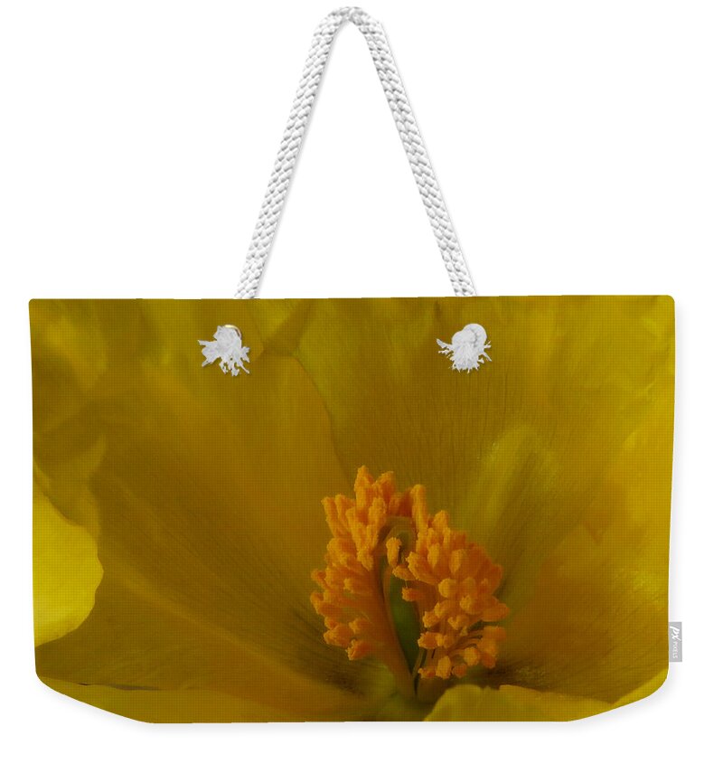 Horned Poppy Weekender Tote Bag featuring the photograph Horned Poppy Stamen by John Topman