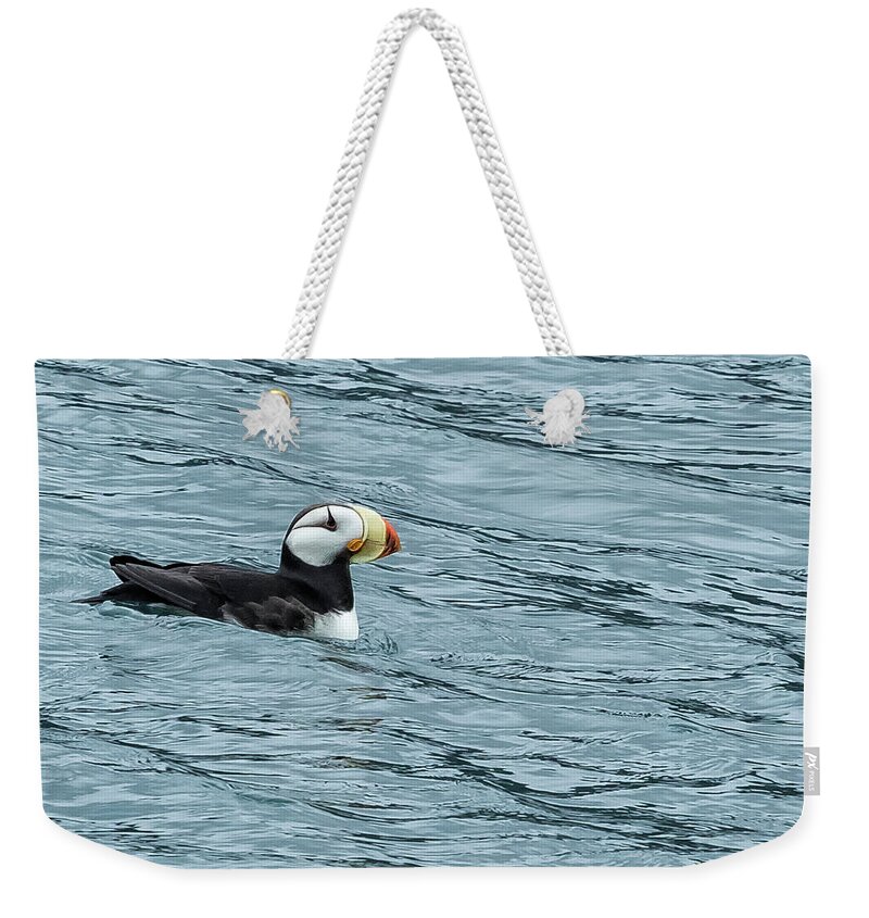 Horned Puffin Weekender Tote Bag featuring the photograph Horned Puffin, No. 1 by Belinda Greb