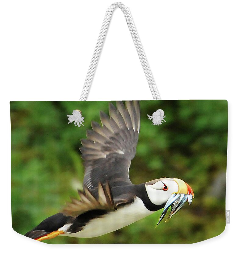 Puffin Weekender Tote Bag featuring the photograph Horned Puffin by Ted Keller