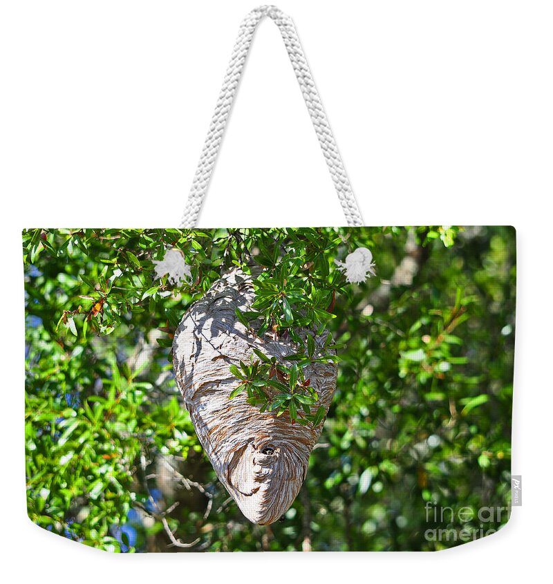 Hornets Nest Weekender Tote Bag featuring the photograph Hornets Home by Al Powell Photography USA