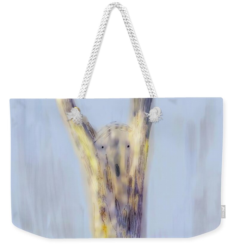 Horror Weekender Tote Bag featuring the photograph Horror #f3 by Leif Sohlman