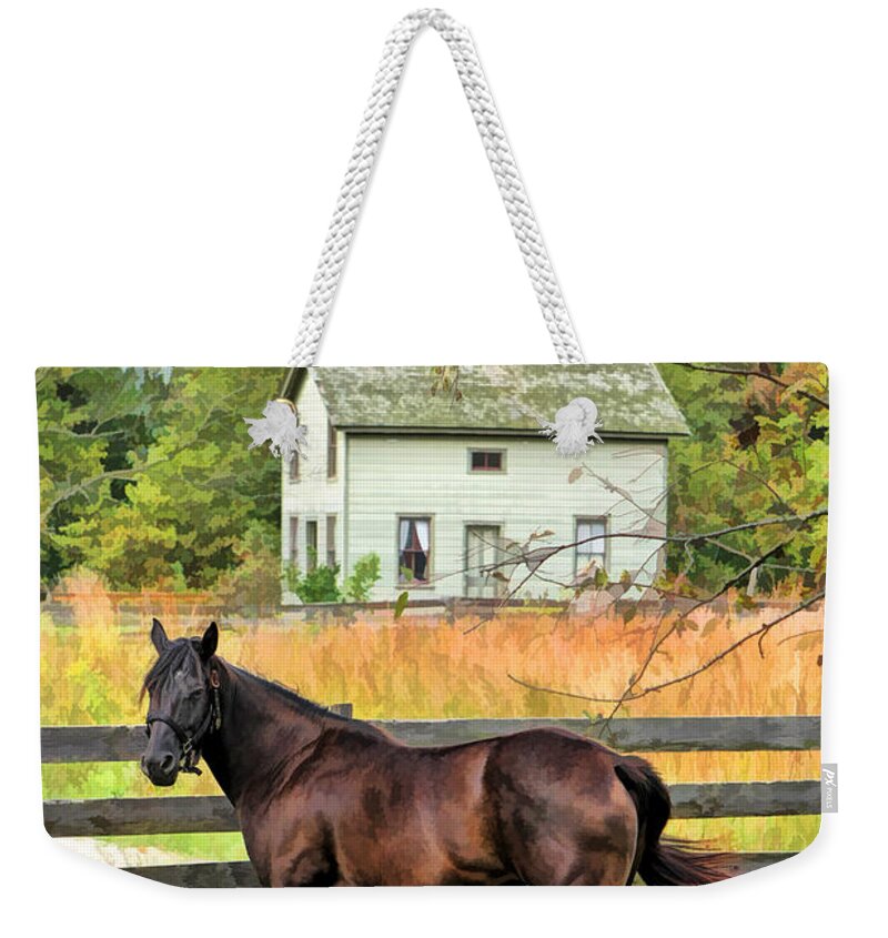 Old World Wisconsin Weekender Tote Bag featuring the painting Horse and Barn at Old World Wisconsin by Christopher Arndt