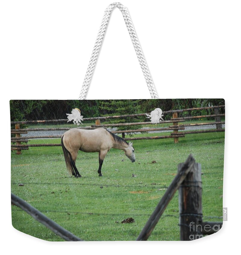 Horse Weekender Tote Bag featuring the photograph Horse in rain by Jim Goodman