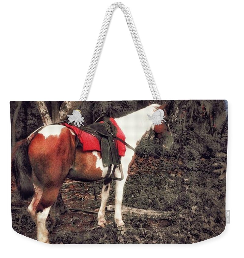 Landscape Weekender Tote Bag featuring the photograph Horse in Red by Christine Paris