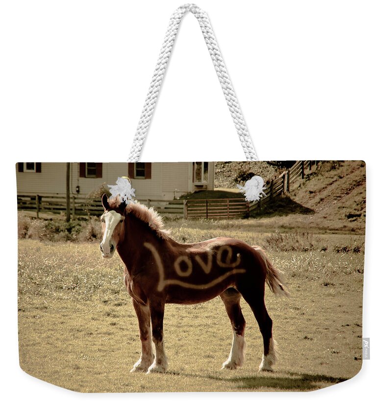 Horse Weekender Tote Bag featuring the photograph Horse Love by Trish Tritz