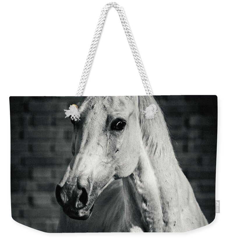 Horse Weekender Tote Bag featuring the photograph Horse portrait on the brick background II by Dimitar Hristov