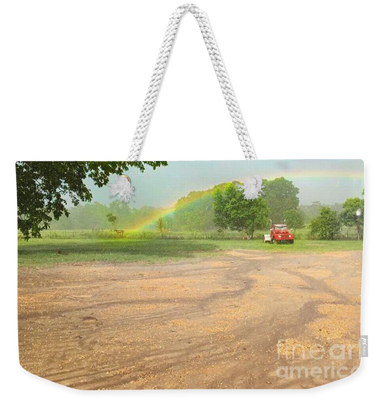 Rainbow Weekender Tote Bag featuring the photograph Horse Rainbow by Metaphor Photo