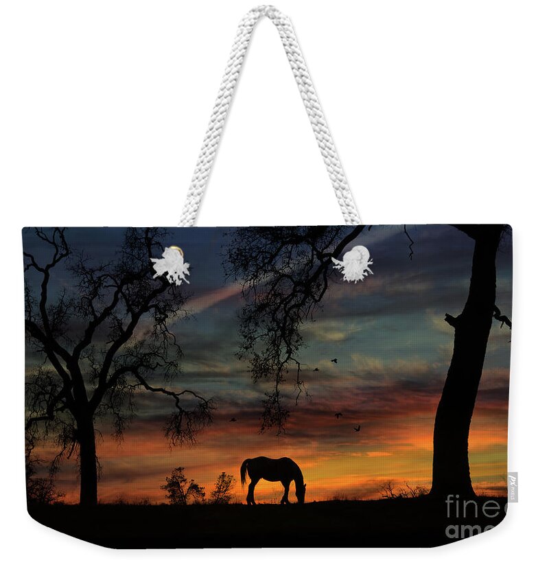 Horse Weekender Tote Bag featuring the photograph Horse Sunrise and Oak Trees with Birds Pasture by Stephanie Laird