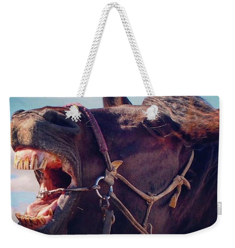 Horse Weekender Tote Bag featuring the photograph Horse bare Teeth by Ippei Uchida