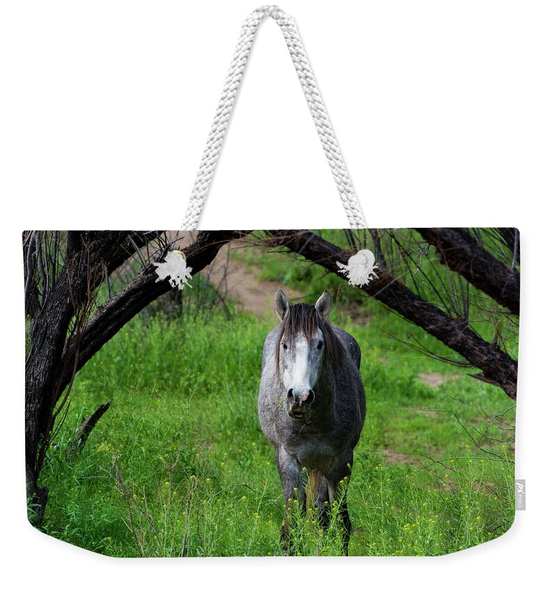 Horse Weekender Tote Bag featuring the photograph Horse's Arch by Douglas Killourie