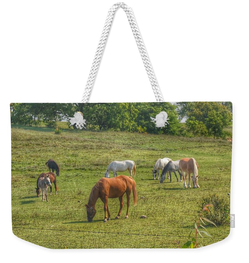 Horses Weekender Tote Bag featuring the photograph 1003 - Horses in a Pasture I by Sheryl L Sutter