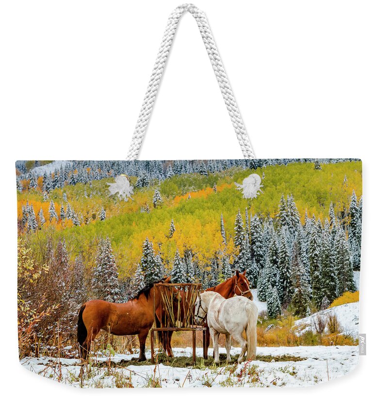 Aspen Trees Weekender Tote Bag featuring the photograph Horses in Autumn Mountain Scene with Snow by Teri Virbickis