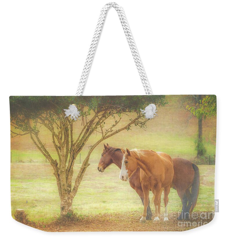 Horse Weekender Tote Bag featuring the photograph Horses in the Meadow by Eleanor Abramson