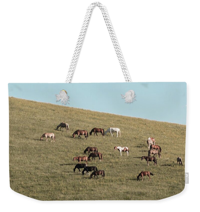 Horses Weekender Tote Bag featuring the photograph Horses On The Hill by D K Wall