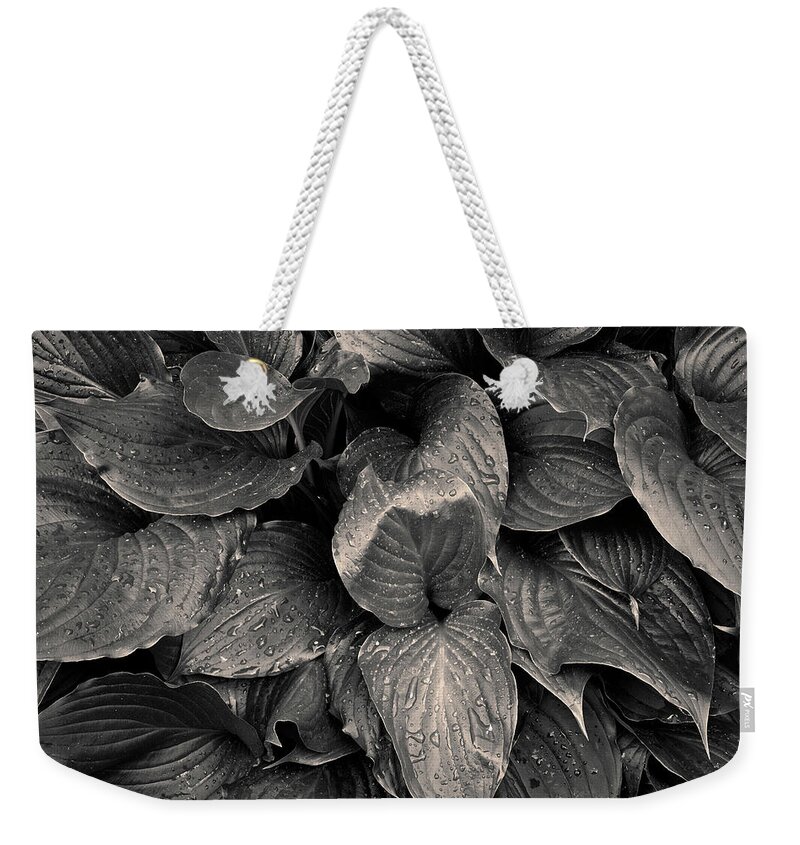 Plant Weekender Tote Bag featuring the photograph Hosta I Toned by David Gordon