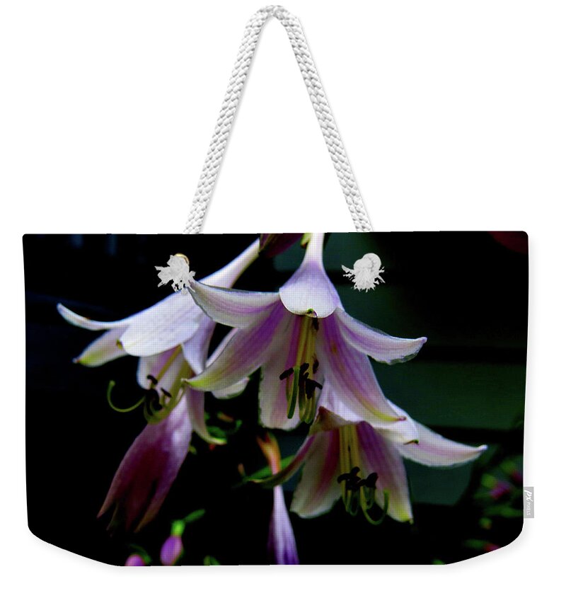 Purple Blossoms Weekender Tote Bag featuring the photograph Hostas Blossoms by Linda Stern