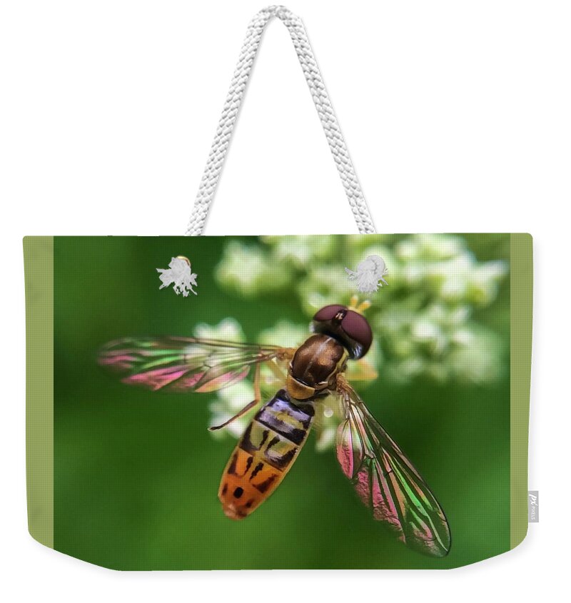 Hover Fly Weekender Tote Bag featuring the photograph Hover Fly by Terri Hart-Ellis