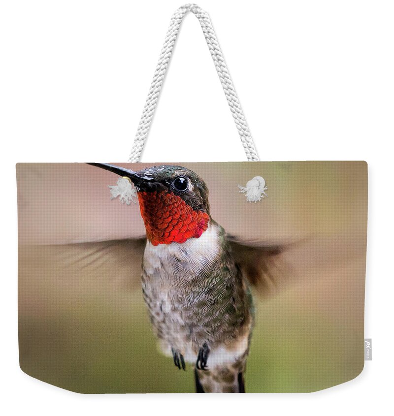 Hummingbird Weekender Tote Bag featuring the photograph Hovering I by Richard Macquade