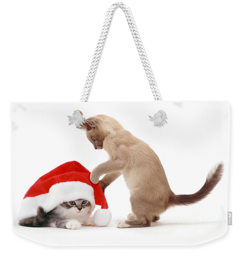 Father Christmas Weekender Tote Bag featuring the photograph How did you find me under here by Warren Photographic