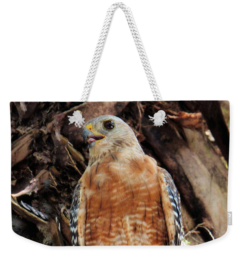 Bird Weekender Tote Bag featuring the photograph How is this for a POSE by Rosalie Scanlon