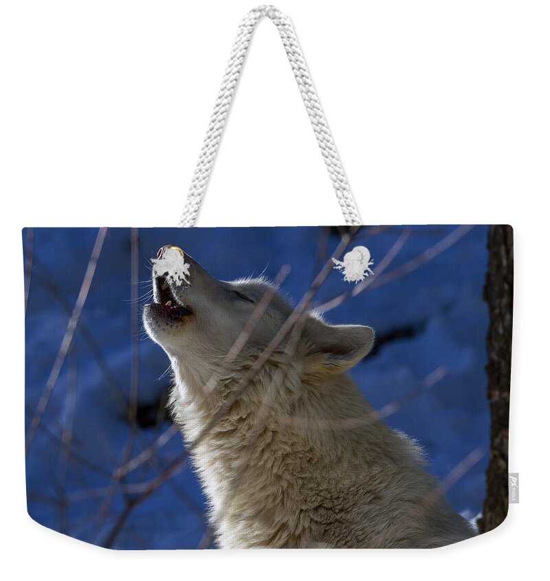 Wolf Weekender Tote Bag featuring the photograph Howl at dawn by Jeff Shumaker