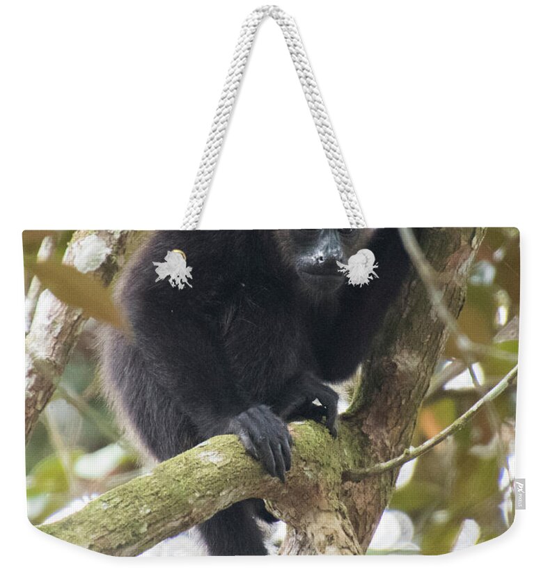 Howler Monkey Weekender Tote Bag featuring the photograph Howler by Jessica Levant