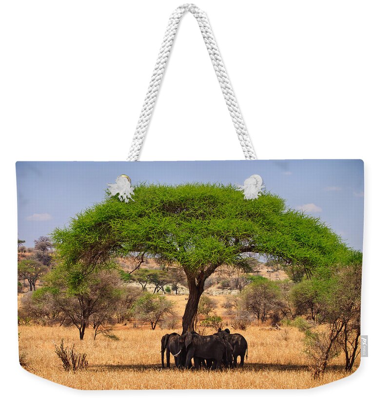 3scape Photos Weekender Tote Bag featuring the photograph Huddled in Shade by Adam Romanowicz