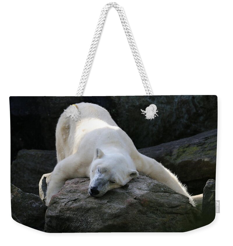 Polar Bear Weekender Tote Bag featuring the photograph Hug A Rock by Living Color Photography Lorraine Lynch