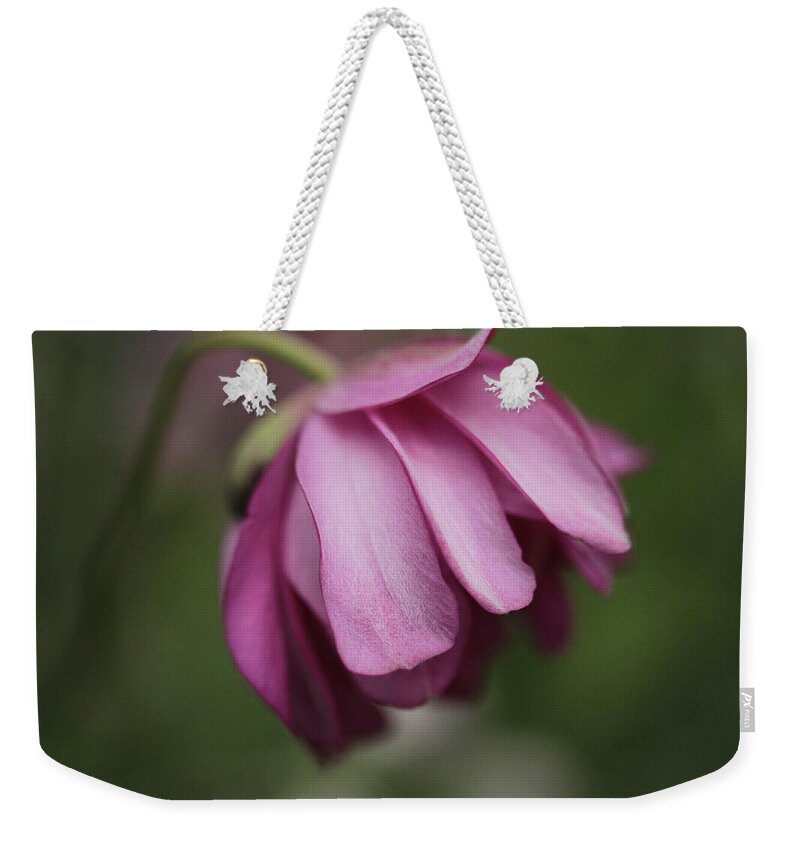 Connie Handscomb Weekender Tote Bag featuring the photograph Humble Beginnings by Connie Handscomb