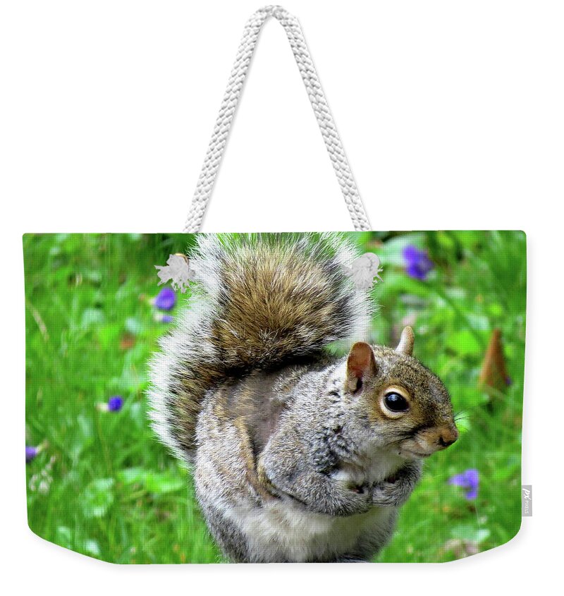 Eastern Grey Squirrels Weekender Tote Bag featuring the photograph Humble Squirrel by Linda Stern