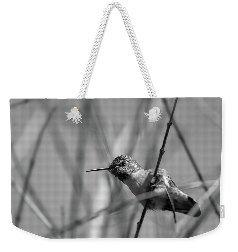 Nature Weekender Tote Bag featuring the photograph Humming Bird BW by Jonathan Nguyen