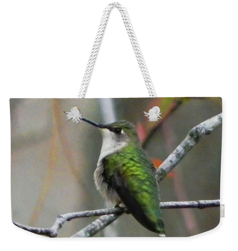 Humming Bird Weekender Tote Bag featuring the photograph Humming Bird Don't Fly Away by Kathleen Moroney