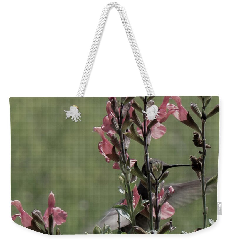 Hummingbird Weekender Tote Bag featuring the photograph Hummingbird 1 by Christy Garavetto