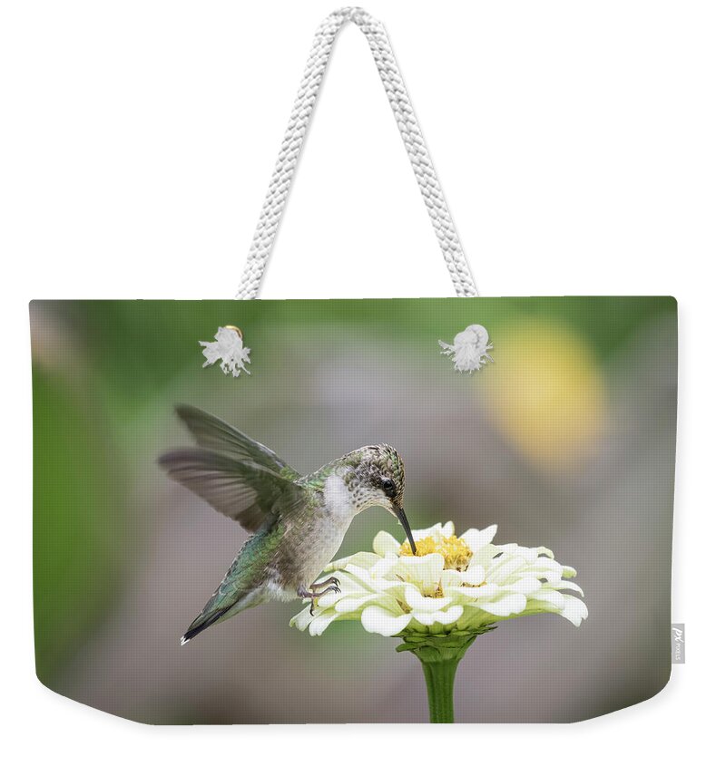 Ruby-throated Hummingbird Weekender Tote Bag featuring the photograph Hummingbird 2016-2 by Thomas Young