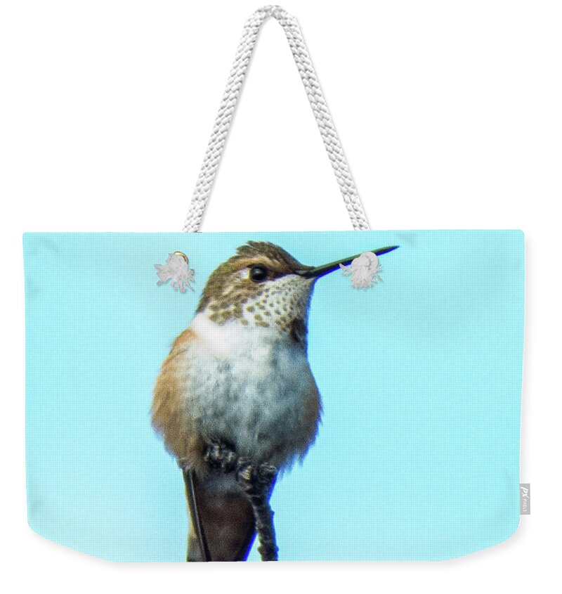 Hummingbird Weekender Tote Bag featuring the photograph Hummingbird 8 by Christy Garavetto