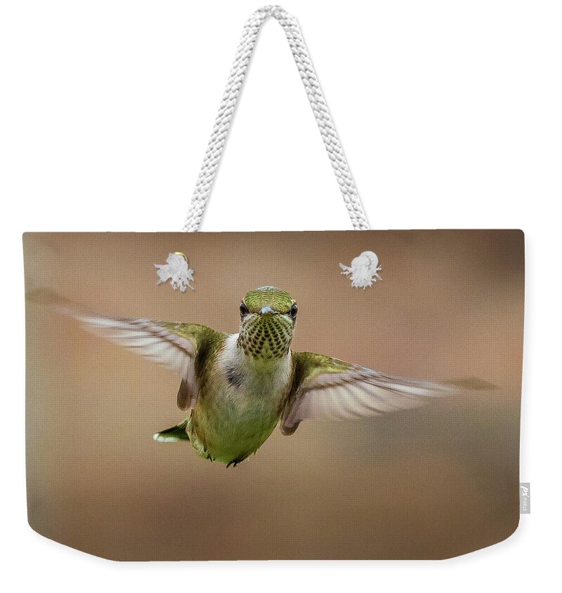 Hummingbird Weekender Tote Bag featuring the photograph Hummingbird by Allin Sorenson