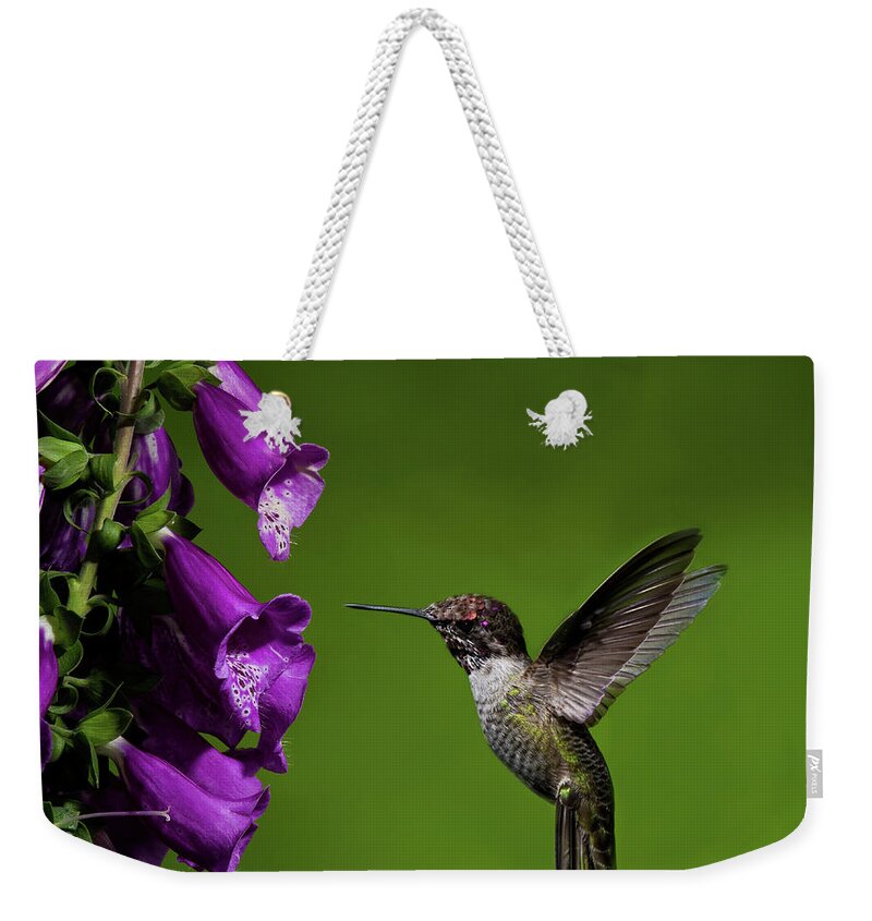 Anna's Hummingbird Weekender Tote Bag featuring the photograph Hummingbird Ballet by Lara Ellis