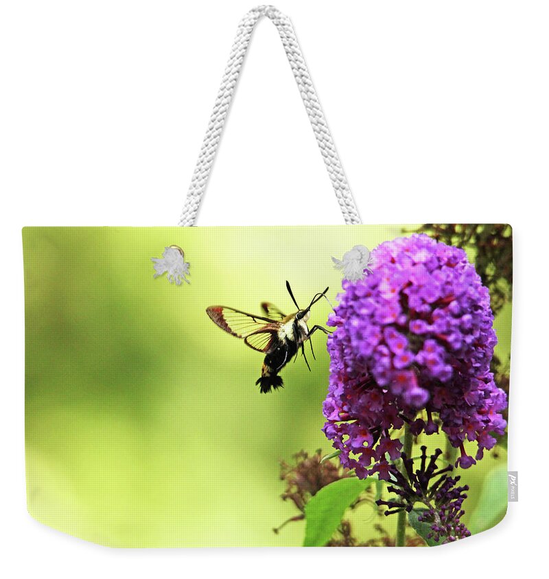 Hummingbird Moth Weekender Tote Bag featuring the photograph Hummingbird Clearwing by Debbie Oppermann