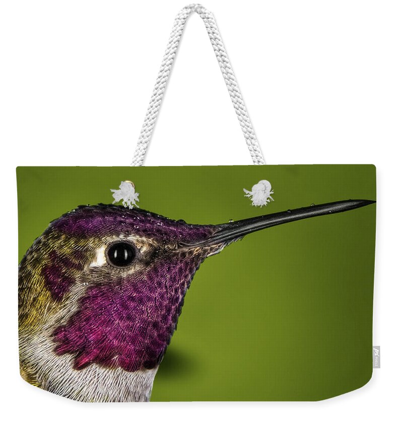 Hummingbird Weekender Tote Bag featuring the photograph Hummingbird head shot with raindrops by William Lee