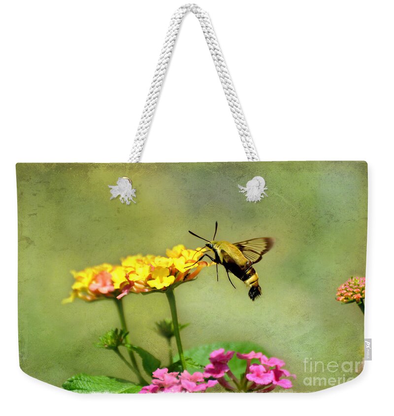 Moth Weekender Tote Bag featuring the photograph Hummingbird Moth 2 by Debbie Portwood
