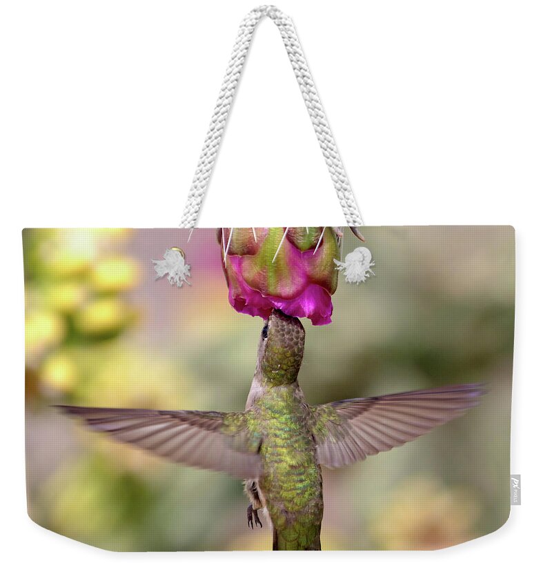 Hummingbird Weekender Tote Bag featuring the photograph Hummingbird on Cholla Cactus by Mindy Musick King