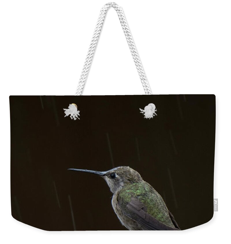 Hummingbird Weekender Tote Bag featuring the photograph Hummingbird Rain by Christy Garavetto