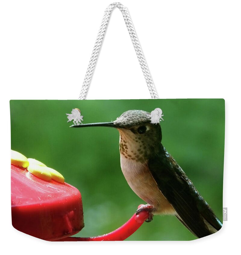 Birds Weekender Tote Bag featuring the photograph Hummingbird Takes a Break by Mark Alan Perry