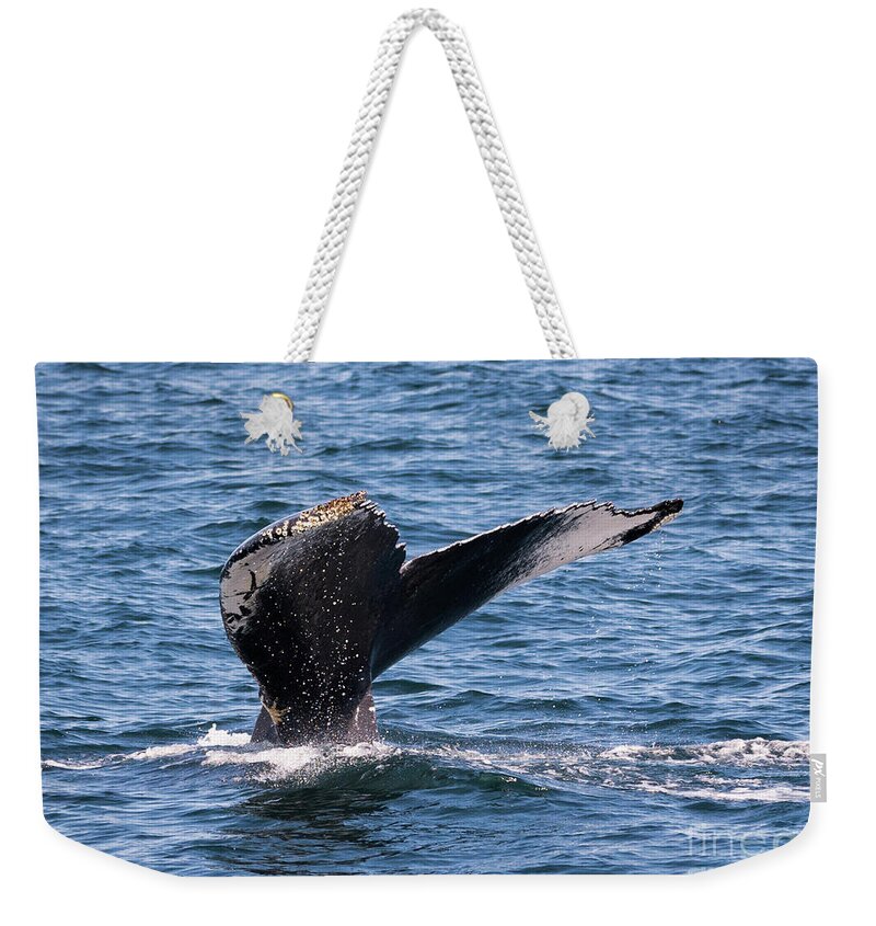 Humpback Weekender Tote Bag featuring the photograph Humpback Whale Tail 2 by Lorraine Cosgrove